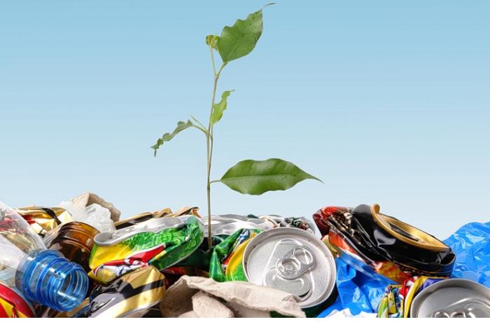 k-probleme-zashchity-okruzhayushchey-sredy-lishshtraf-pomozhet-privit-lyubov-k-chistote-i-poryadku