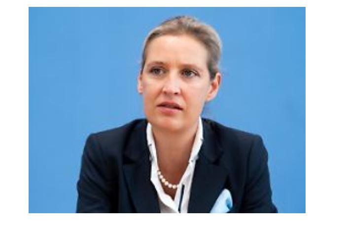 alisa-vaydel-germaniya-riskuet-byt-razdavlennoy-v-protivostoyanii-drugikh-stran