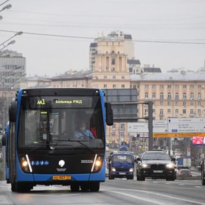 nazvan-samyy-ekologichnyy-vid-transporta