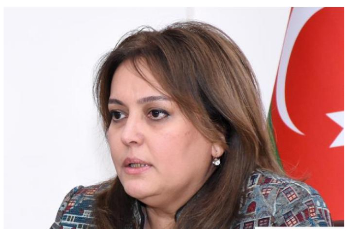 umayra-tagieva-na-dolyu-stran-s-bystro-razvivayushcheysya-ekonomikoy-prikhoditsya-nemalaya-chast-vybrosov