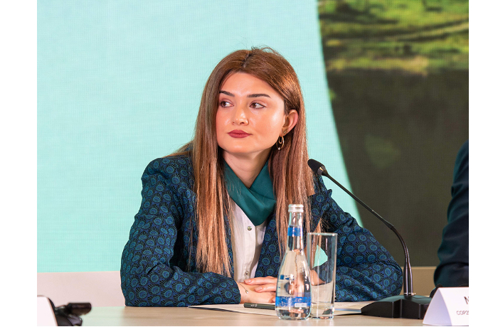 na-cop29-zaregistrirovalis-bolee-28-tysyach-gostey-narmin-dzharchalova