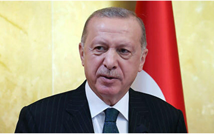 frantsiya-glavnyy-storonnik-terrorizma-erdogan