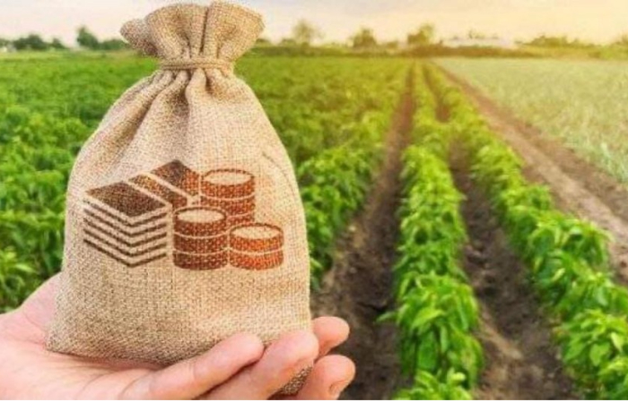 tsba-kredity-bankov-agrarnomu-sektoru-prevysili-15-mlrd-manatov