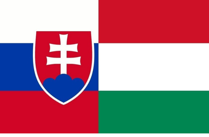 vengriya-i-slovakiya-zablokirovali-otvet-yes-na-prinyatie-gruziey-zakona-ob-inoagentakh