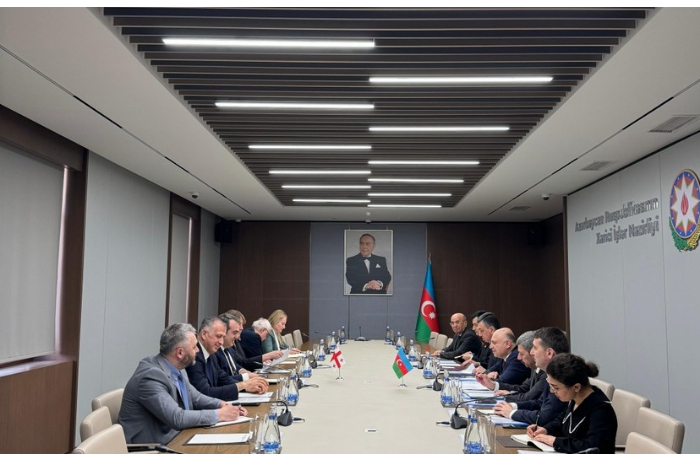 azerbaydzhan-i-gruziya-proveli-mezhmidovskie-politicheskie-konsultatsii