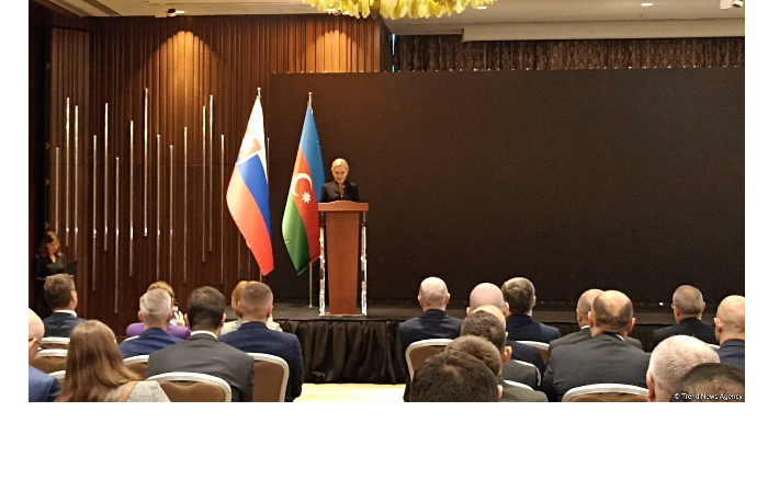 azerbaydzhan-igraet-strategicheskuyu-rol-kak-vazhnyy-partner-slovakii-denisa-sakova