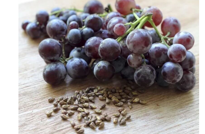 chem-polezny-vinogradnye-kostochki