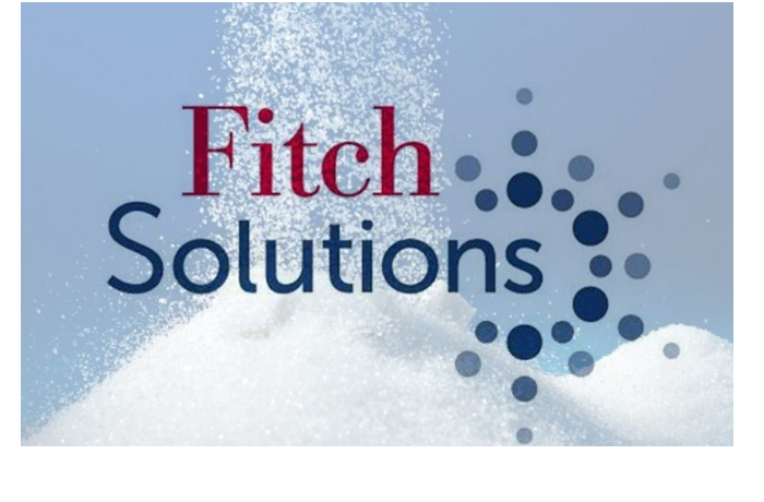 fitch-solutions-nazvalo-klyuchevye-faktory-v-prodvizhenii-turizma-v-2025-godu