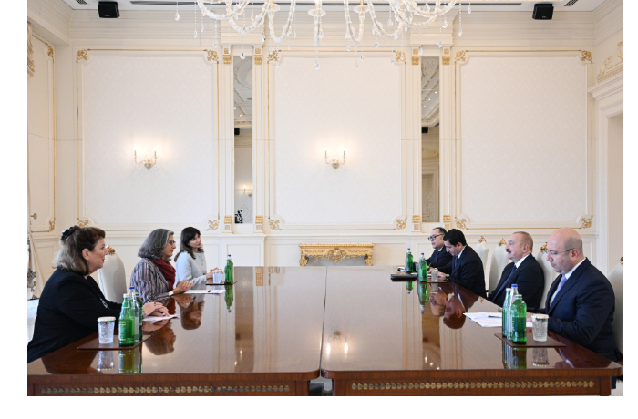 prezident-ilkham-aliev-prinyal-ispolnitelnogo-direktora-oon-khabitat-foto