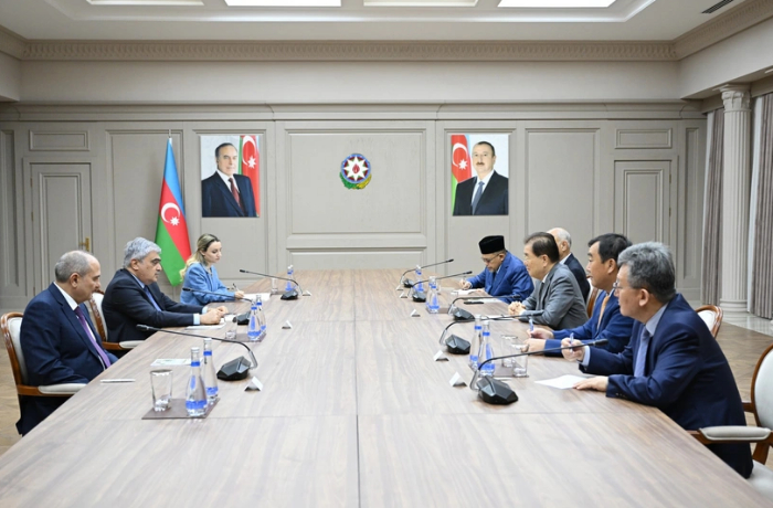 samir-sharifov-vstretilsya-s-delegatsiey-postoyannogo-komiteta-icapp