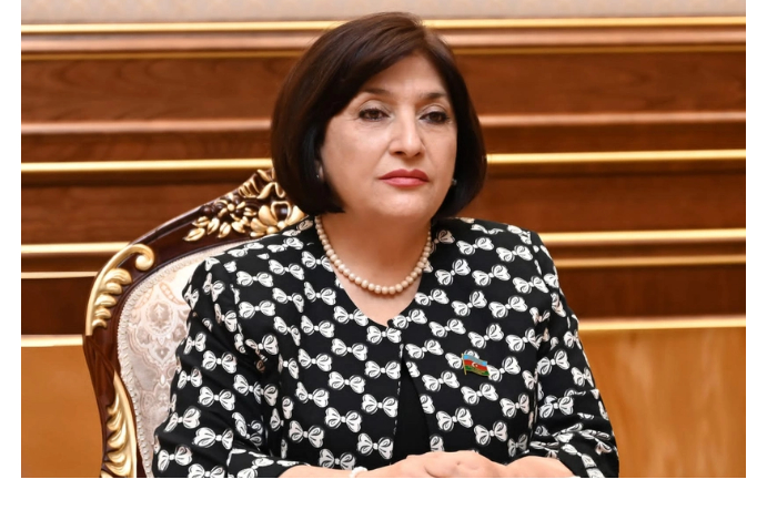 sakhiba-gafarova-parlamentskaya-diplomatiya-myagkaya-sila-sovremennogo-mira