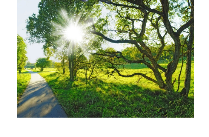 zavtra-ozhidaetsya-24-gradusa-tepla