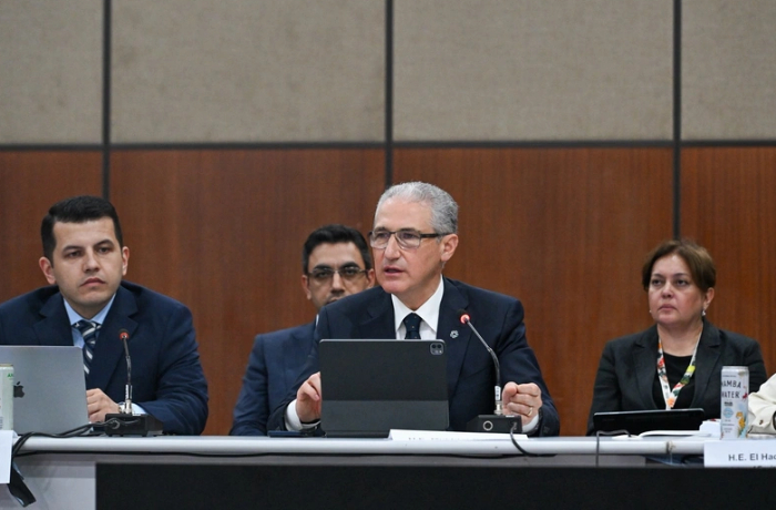 mukhtar-babaev-rasskazal-na-cop30-o-tayanii-lednikov-v-azerbaydzhane