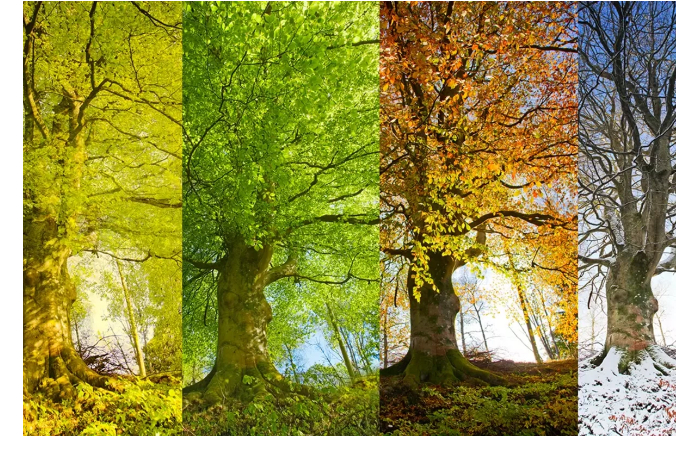 obyavleny-daty-nastupleniya-vremen-goda-v-azerbaydzhane