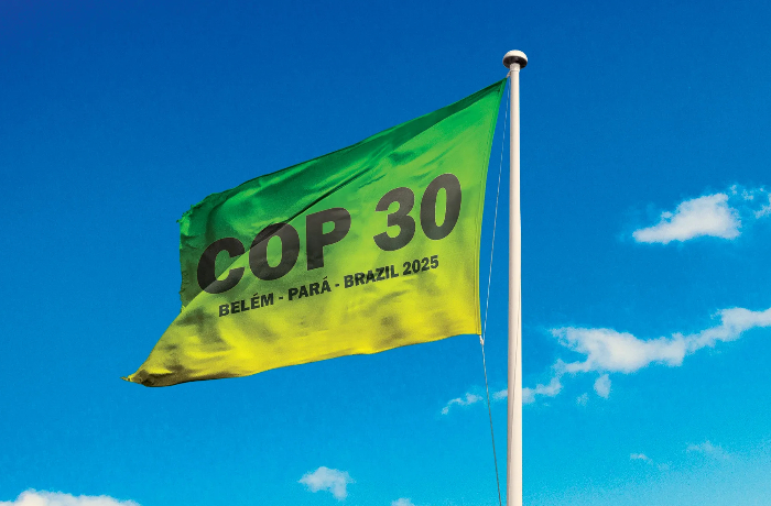 skandalnoe-zakrytie-cop30-v-brazilii-ekologicheskie-problemy-i-mezhdunarodnaya-kritika