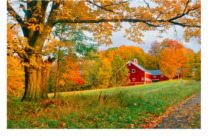 prognoz-pogody-v-azerbaydzhane-na-zavtra