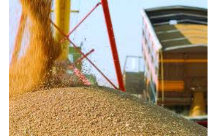 kazakhtan-uvelichil-postavki-zerna-v-azerbaydzhan-v-25-raz