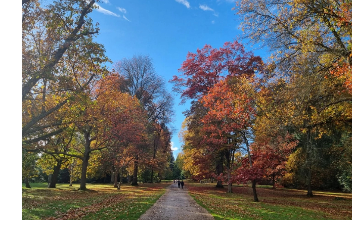 prognoz-pogody-v-azerbaydzhane-na-zavtra