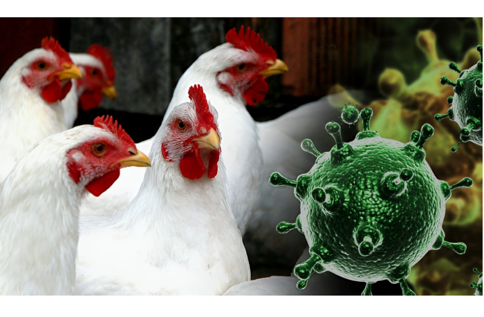 apba-ogranichivaet-import-iz-ochagov-epizootii