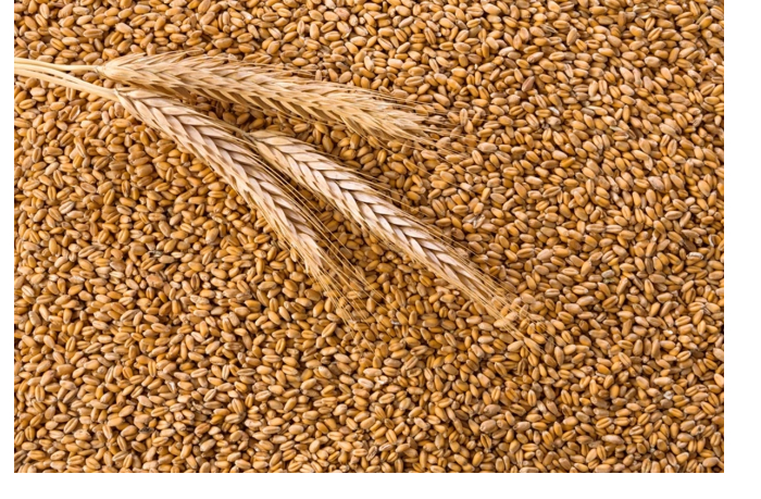 importnaya-produktsiya-podorozhala-v-azerbaydzhane-na-25