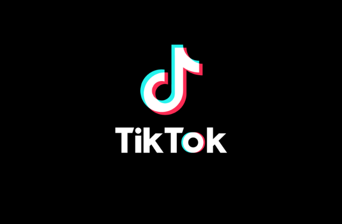 proval-zapreta-tiktok-v-albanii-grazhdane-massovo-obkhodyat-veto-s-pomoshchyu-vpn