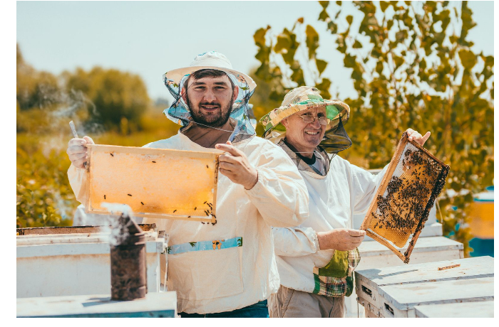 karabakh-i-zangezur-novyy-trend-eksporta-azerbaydzhana