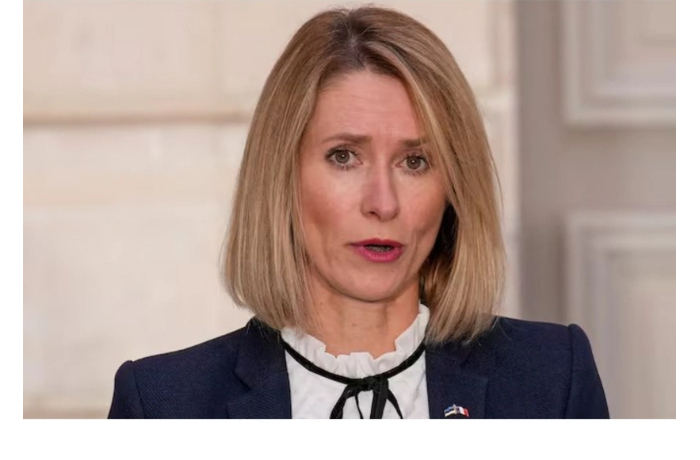 kaya-kallas-rasshirenie-yes-investitsiya-v-budushchee-soyuza