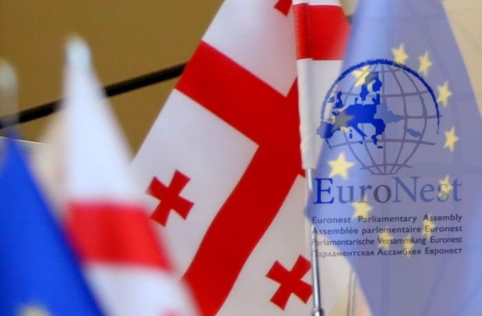 evronest-ne-otvechaet-interesam-gruzii