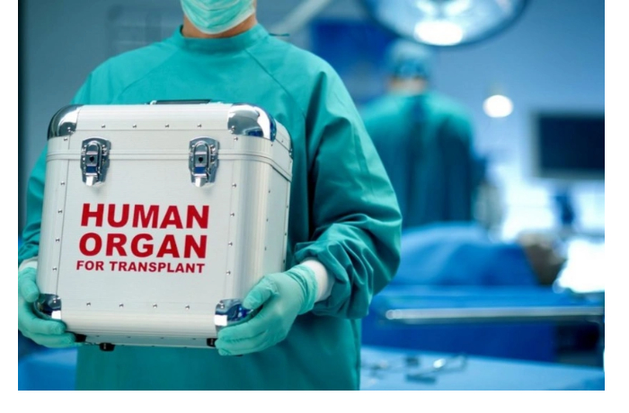 vneseny-izmeneniya-v-spisok-meduchrezhdeniy-osushchestvlyayushchikh-transplantatsiyu-donorskikh-organov