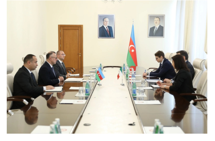 azerbaydzhan-i-italiya-obsuzhdili-sotrudnichestvo-v-sfere-zdravookhraneniya