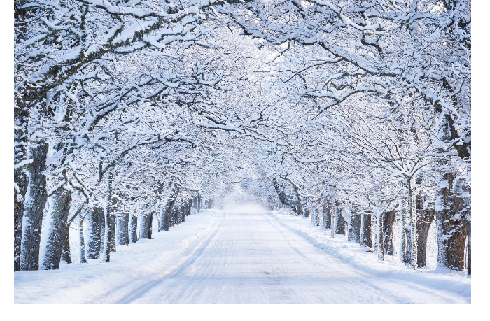 v-ryade-rayonov-azerbaydzhana-vypal-sneg-fakticheskaya-pogoda