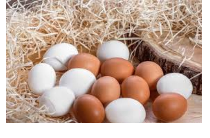 v-azerbaydzhane-vyrosli-tseny-na-yaytsa-kur-broylerov