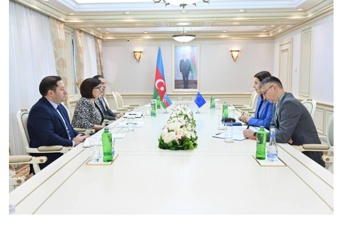 gafarova-progress-v-mirnom-protsesse-baku-i-yerevana-dokazyvaet-predvzyatost-rezolyutsiy-yep