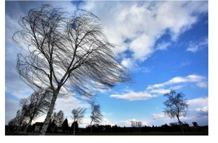 sinoptiki-predupredili-ob-usilenii-vetra-v-azerbaydzhane