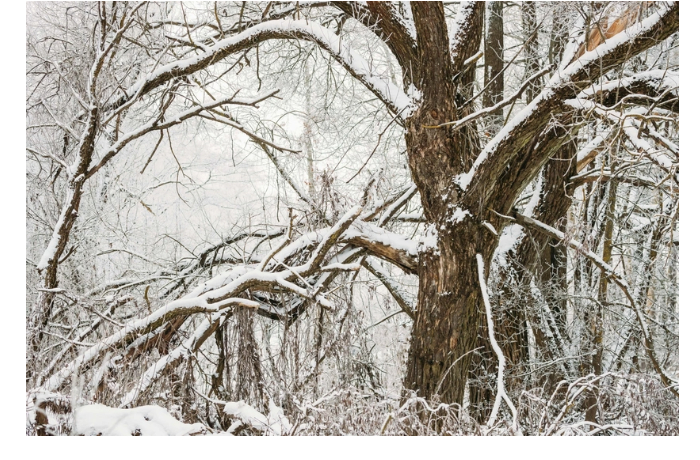 zavtra-v-baku-ozhidaetsya-dozhd-v-regionakh-vypadet-sneg