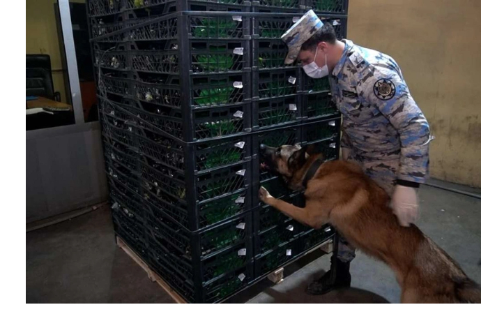 astarinskaya-tamozhnya-presekla-kontrabandu-krupnoy-partii-narkotikov