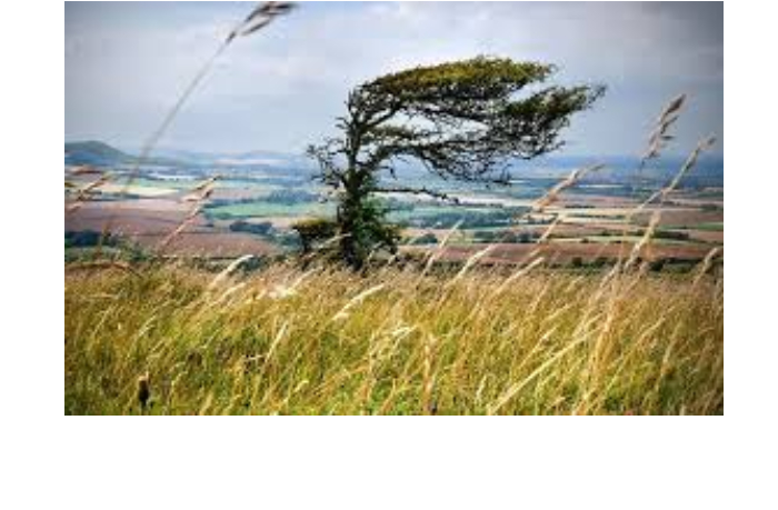 v-baku-i-regionakh-azerbaydzhana-usilitsya-veter-preduprezhdeniye