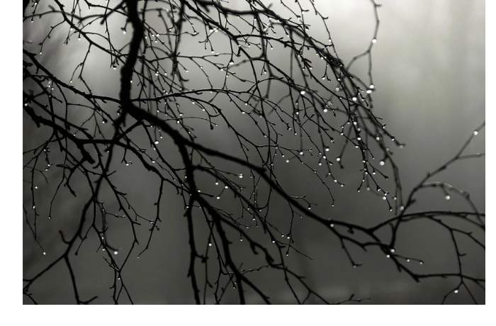 zavtra-v-baku-i-na-absherone-ozhidaetsya-morosyashchiy-dozhd