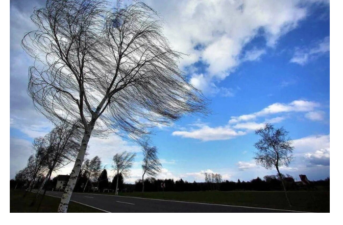 v-baku-i-bolshinstve-regionov-tri-dnya-budet-dut-silnyy-veter-preduprezhdeniye