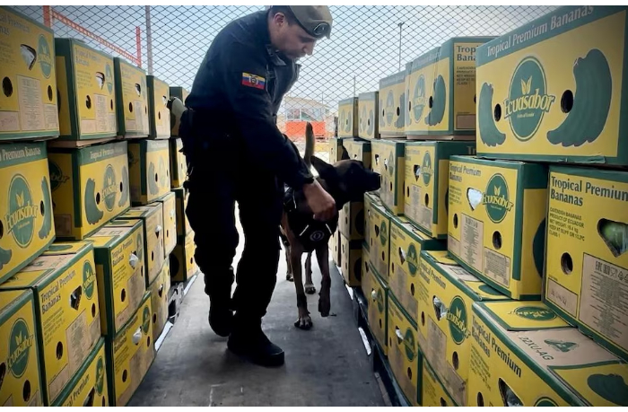 ekvador-prevrashchaetsya-v-mirovoy-supermagistral-kokaina