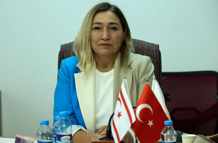 yasemin-oztyurk-tyurkskie-gosudarstva-dolzhny-obedinitsya-protiv-transgranichnykh-i-gibridnykh-ugroz