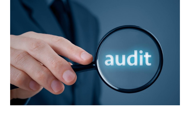 deputat-schetnaya-palata-ne-dostigla-tselevykh-pokazateley-po-auditu-effektivnosti