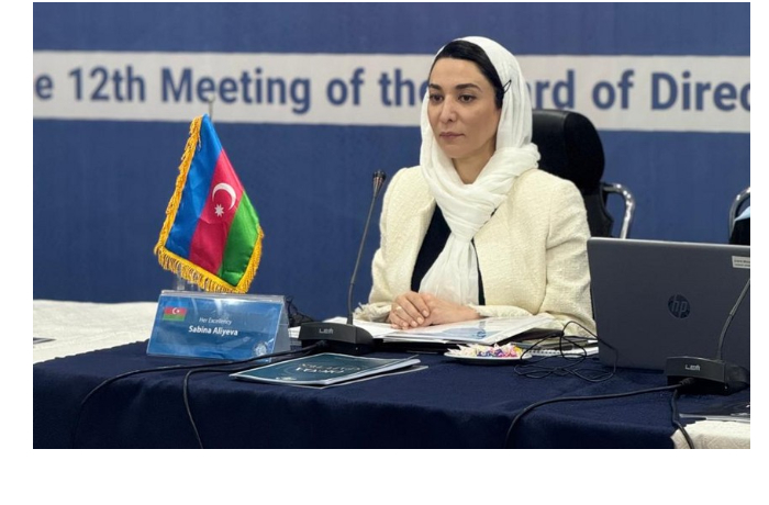 sabina-alieva-rasskazala-o-minnoy-probleme-v-karabakhe-na-zasedanii-ois-v-irane
