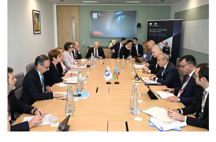 mikail-dzhabbarov-obsudil-s-prezidentom-yebrr-proekty-v-sfere-zelenoy-energetiki
