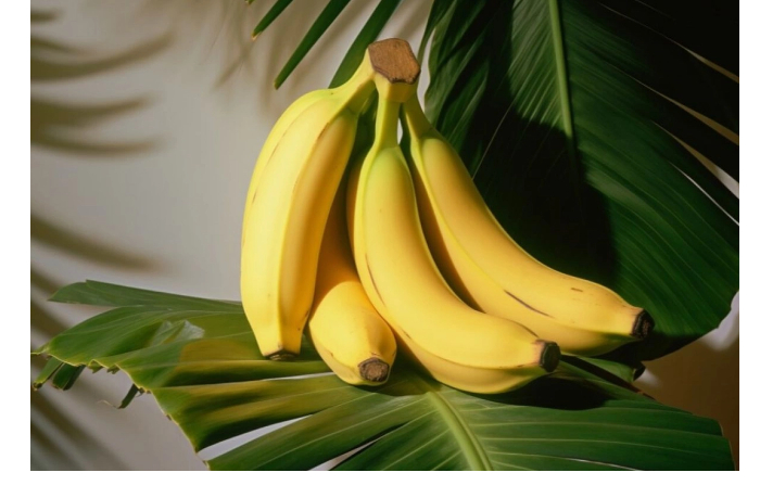 eksperty-sdelali-trevozhnoe-zayavlenie-o-bananakh