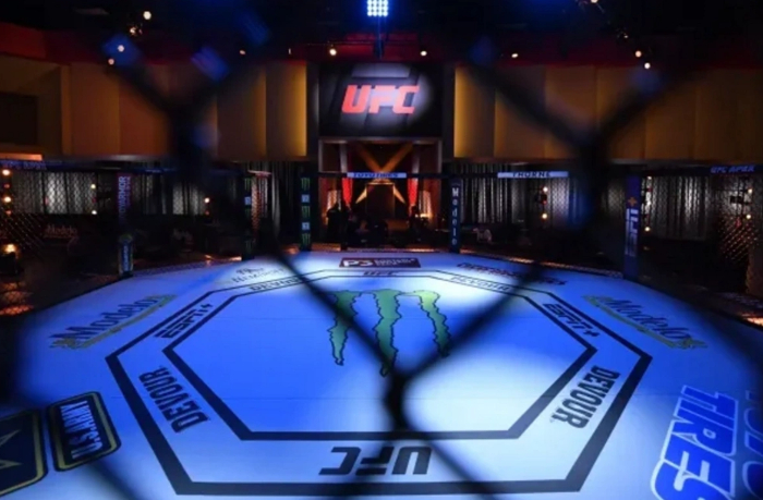 zvezdy-ufc-yedut-v-baku