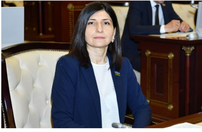 deputat-ataki-na-media-resursy-v-osnovnom-imeyut-politicheskuyu-motivatsiyu