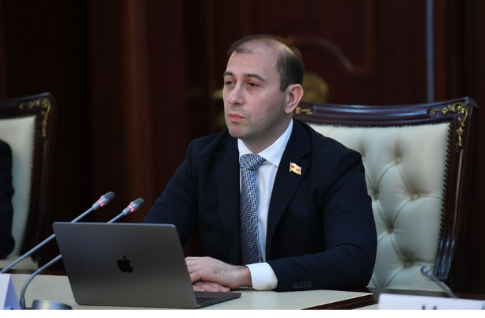 v-milli-medzhlise-prizvali-zakonodatelno-zashchitit-nezavisimye-media-ot-kiberugroz