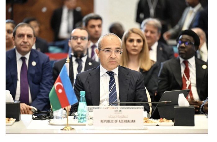 mikail-dzhabbarov-prinyal-uchastie-v-plenarnoy-sessii-soveta-direktorov-gruppy-ibr