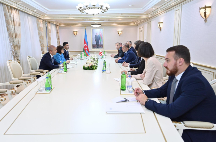 sakhiba-gafarova-provela-vstrechu-s-delegatsiey-parlamenta-gruzii